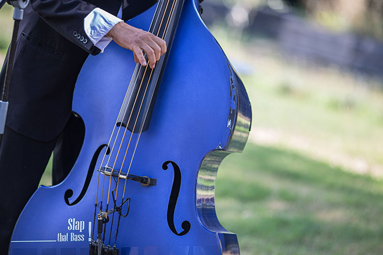 photographe musicien musique concert